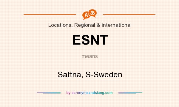 What does ESNT mean? It stands for Sattna, S-Sweden