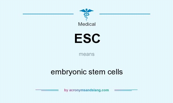 What does ESC mean? It stands for embryonic stem cells
