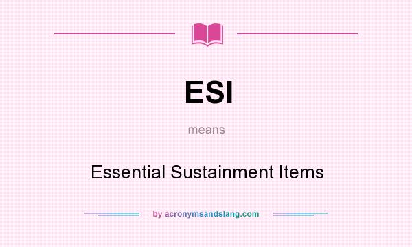 What does ESI mean? It stands for Essential Sustainment Items