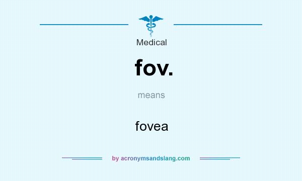 What does fov. mean? It stands for fovea