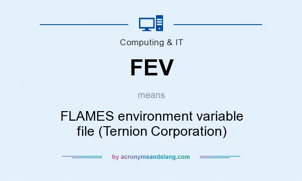 What does FEV mean? It stands for FLAMES environment variable file (Ternion Corporation)