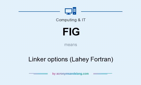 What does FIG mean? It stands for Linker options (Lahey Fortran)