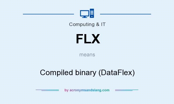 What does FLX mean? It stands for Compiled binary (DataFlex)