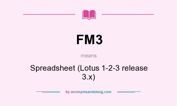 What does FM3 mean? It stands for Spreadsheet (Lotus 1-2-3 release 3.x)