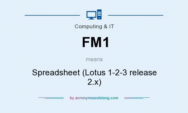 What does FM1 mean? It stands for Spreadsheet (Lotus 1-2-3 release 2.x)