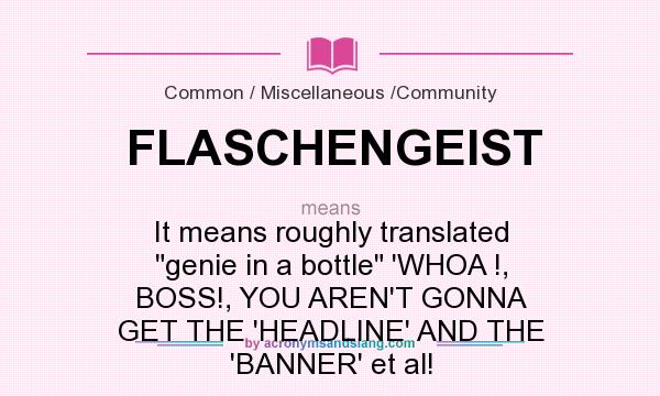 What does FLASCHENGEIST mean? It stands for It means roughly translated 