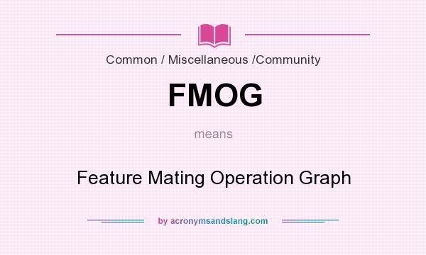 What does FMOG mean? It stands for Feature Mating Operation Graph