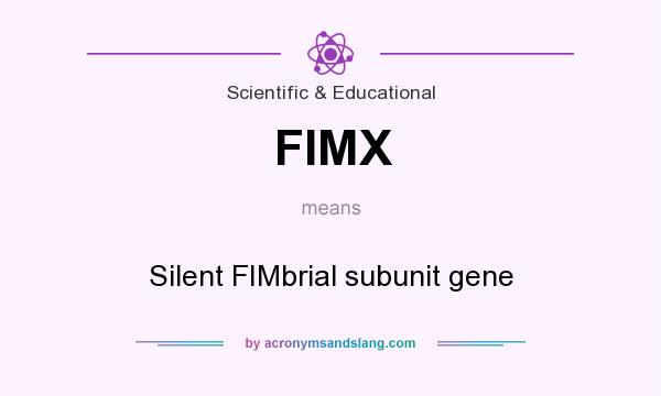 What does FIMX mean? It stands for Silent FIMbrial subunit gene
