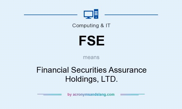 What does FSE mean? It stands for Financial Securities Assurance Holdings, LTD.