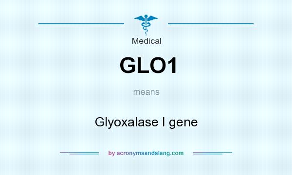What does GLO1 mean? It stands for Glyoxalase I gene
