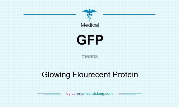 What does GFP mean? It stands for Glowing Flourecent Protein
