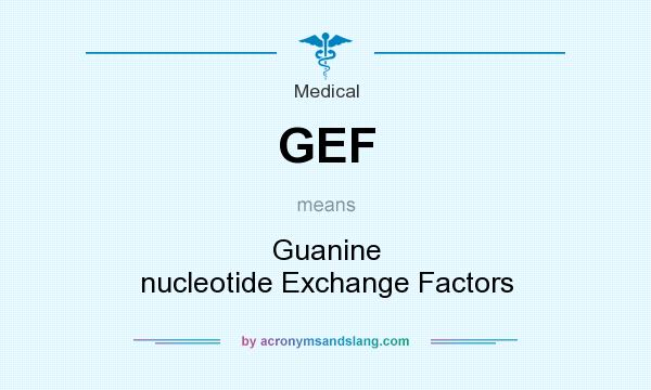 What does GEF mean? It stands for Guanine nucleotide Exchange Factors