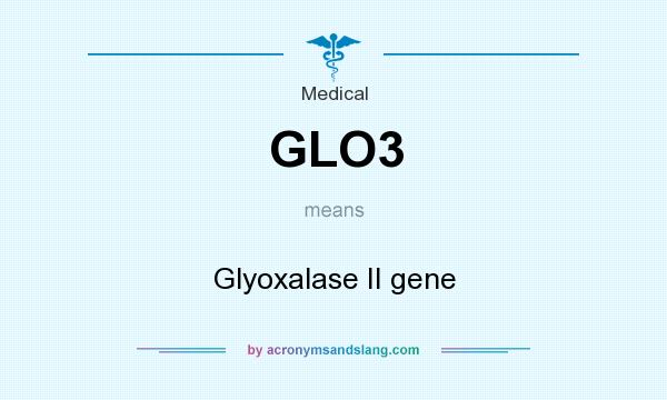 What does GLO3 mean? It stands for Glyoxalase II gene