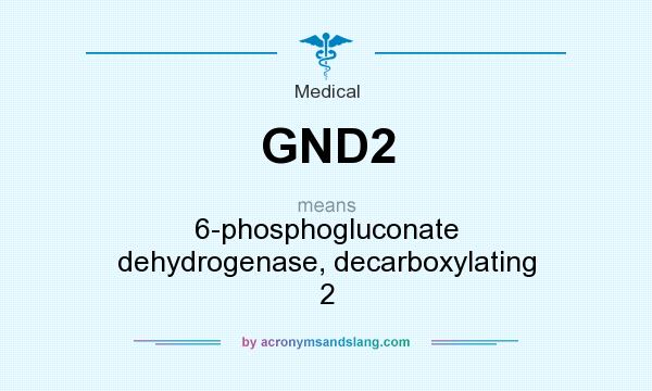 What does GND2 mean? It stands for 6-phosphogluconate dehydrogenase, decarboxylating 2