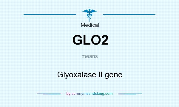 What does GLO2 mean? It stands for Glyoxalase II gene