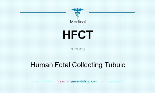 What does HFCT mean? It stands for Human Fetal Collecting Tubule