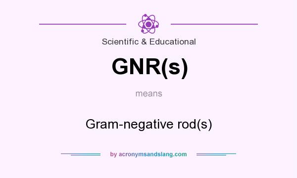 What does GNR(s) mean? It stands for Gram-negative rod(s)