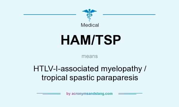 What does HAM/TSP mean? It stands for HTLV-I-associated myelopathy / tropical spastic paraparesis