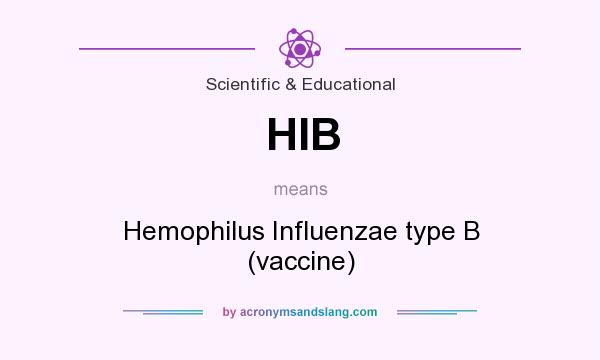 What does HIB mean? It stands for Hemophilus Influenzae type B (vaccine)