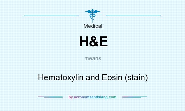 What does H&E mean? It stands for Hematoxylin and Eosin (stain)