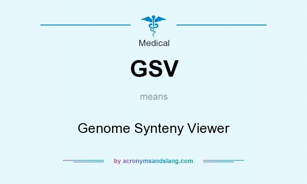 What does GSV mean? It stands for Genome Synteny Viewer