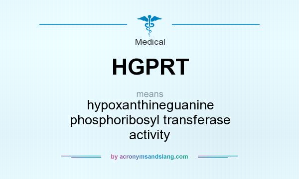 What does HGPRT mean? It stands for hypoxanthineguanine phosphoribosyl transferase activity