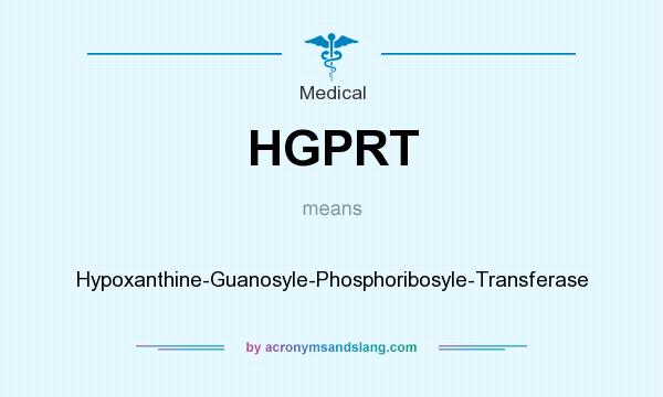 What does HGPRT mean? It stands for Hypoxanthine-Guanosyle-Phosphoribosyle-Transferase