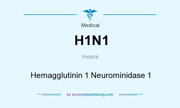 What does H1N1 mean? It stands for Hemagglutinin 1 Neurominidase 1
