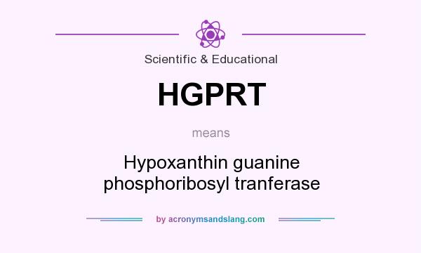 What does HGPRT mean? It stands for Hypoxanthin guanine phosphoribosyl tranferase