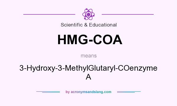 What does HMG-COA mean? It stands for 3-Hydroxy-3-MethylGlutaryl-COenzyme A