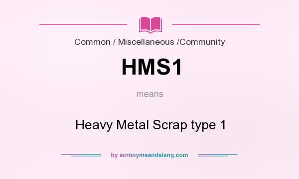 What does HMS1 mean? It stands for Heavy Metal Scrap type 1