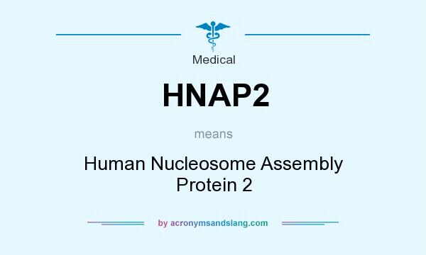 What does HNAP2 mean? It stands for Human Nucleosome Assembly Protein 2