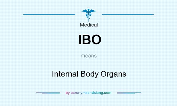 What does IBO mean? It stands for Internal Body Organs