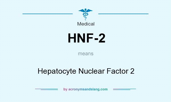 What does HNF-2 mean? It stands for Hepatocyte Nuclear Factor 2