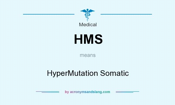 What does HMS mean? It stands for HyperMutation Somatic