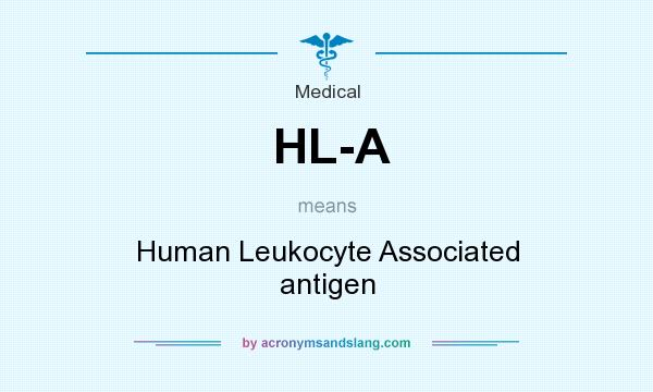 What does HL-A mean? It stands for Human Leukocyte Associated antigen