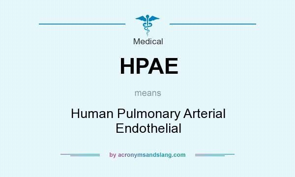 What does HPAE mean? It stands for Human Pulmonary Arterial Endothelial