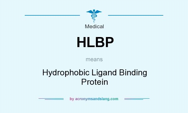 What does HLBP mean? It stands for Hydrophobic Ligand Binding Protein