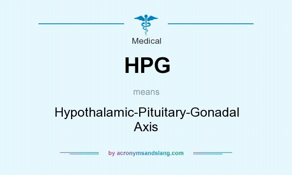What does HPG mean? It stands for Hypothalamic-Pituitary-Gonadal Axis