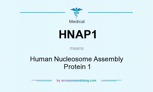 What does HNAP1 mean? It stands for Human Nucleosome Assembly Protein 1