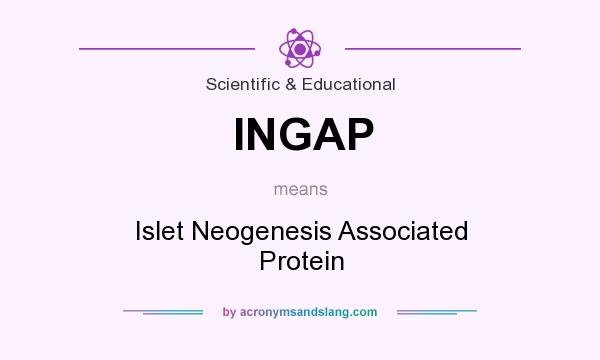 What does INGAP mean? It stands for Islet Neogenesis Associated Protein