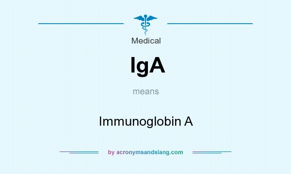 What does IgA mean? It stands for Immunoglobin A