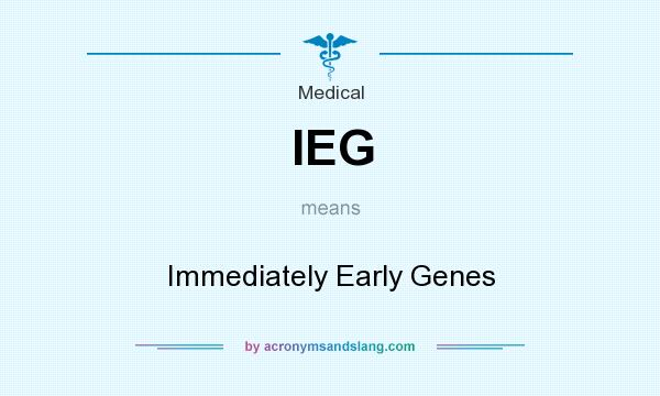 What does IEG mean? It stands for Immediately Early Genes