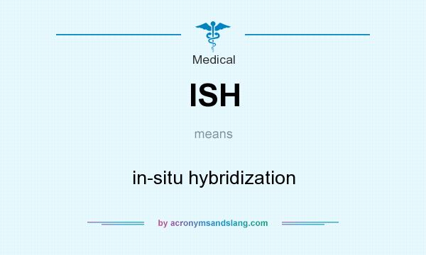 What does ISH mean? It stands for in-situ hybridization