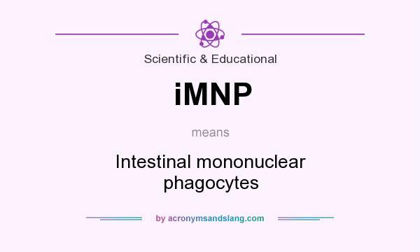 What does iMNP mean? It stands for Intestinal mononuclear phagocytes