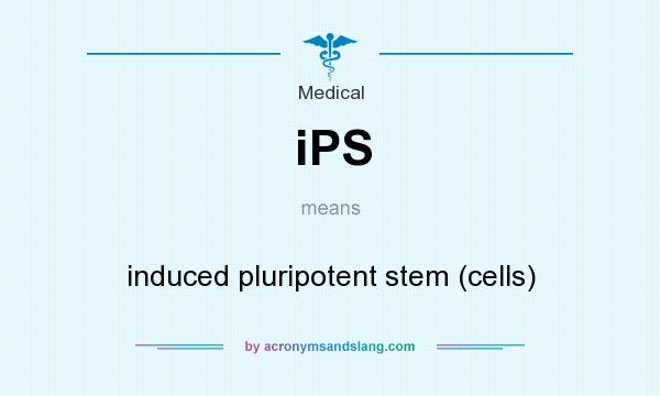 What does iPS mean? It stands for induced pluripotent stem (cells)