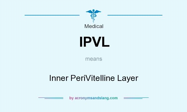 What does IPVL mean? It stands for Inner PeriVitelline Layer