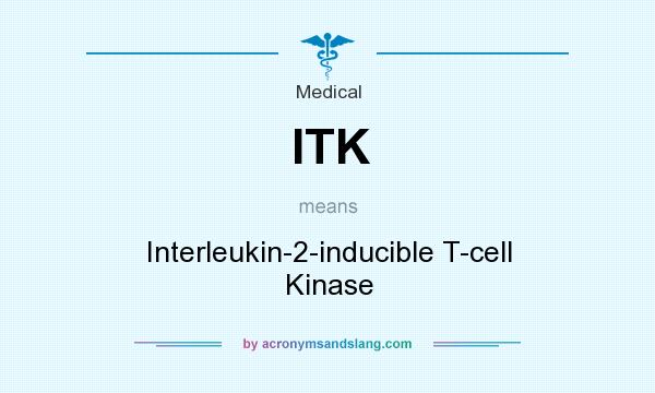 What does ITK mean? It stands for Interleukin-2-inducible T-cell Kinase