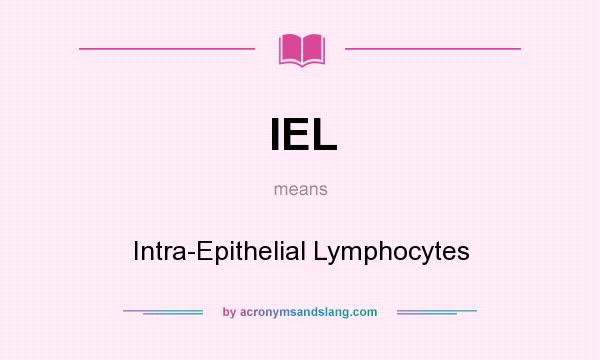 What does IEL mean? It stands for Intra-Epithelial Lymphocytes
