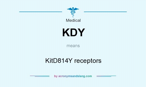 What does KDY mean? It stands for KitD814Y receptors